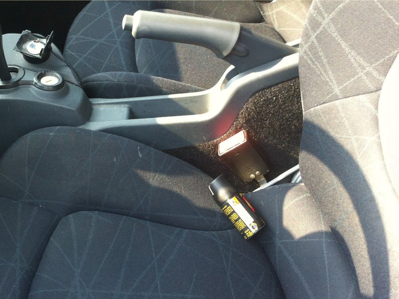 Bild das-gehoert-bei-hitze-nicht-ins-auto.jpg
